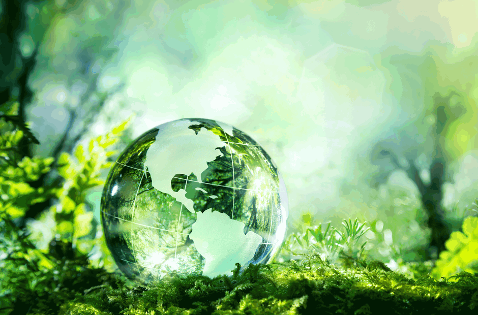 Earth